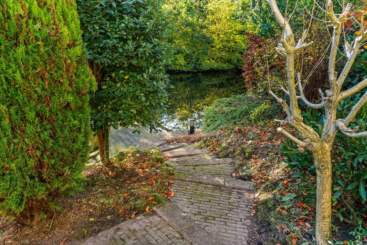 Foto 25 van Schemergaarde 1