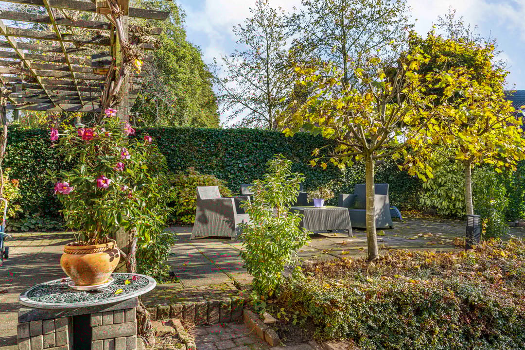 Foto 26 van Schemergaarde 1