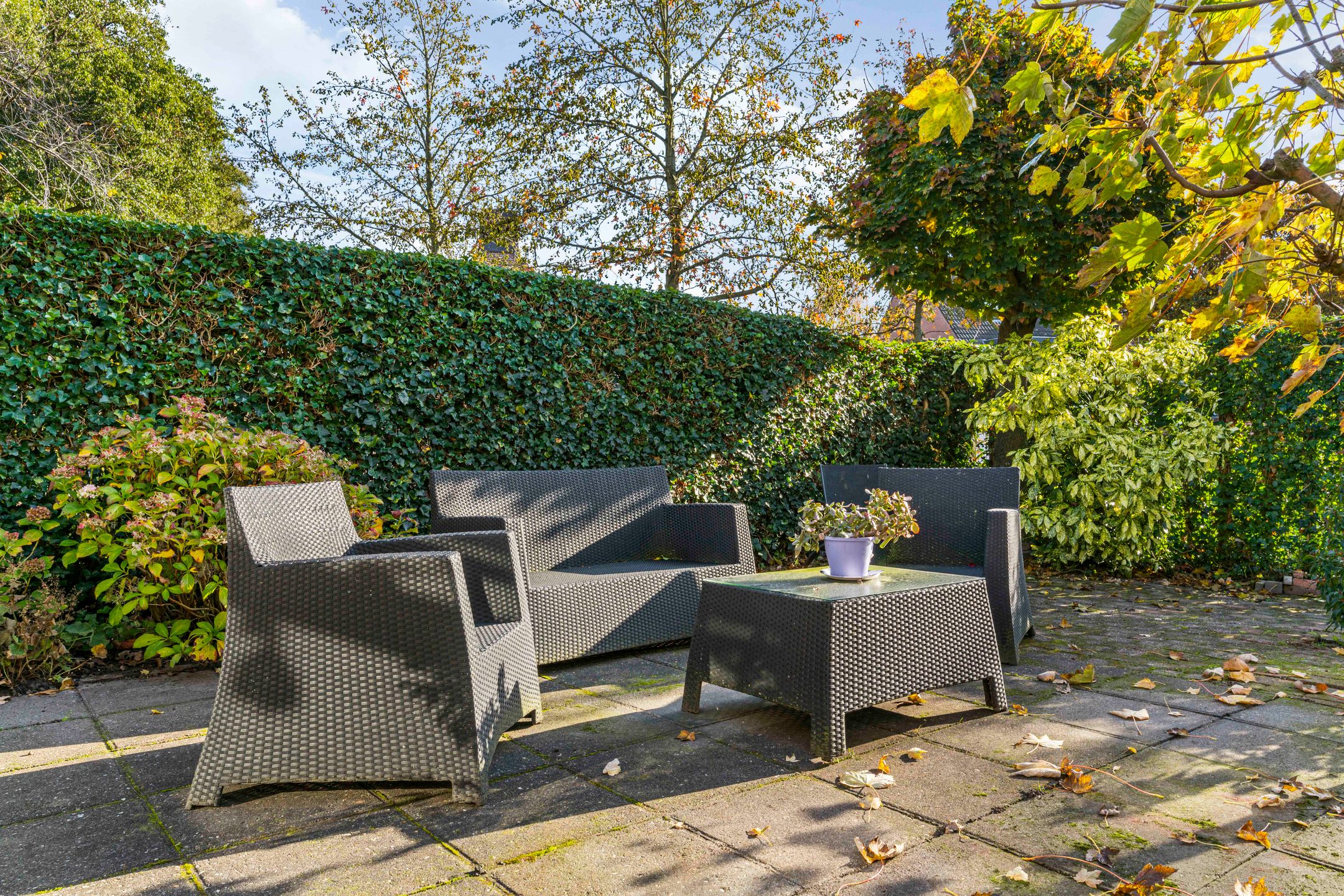 Foto 27 van Schemergaarde 1