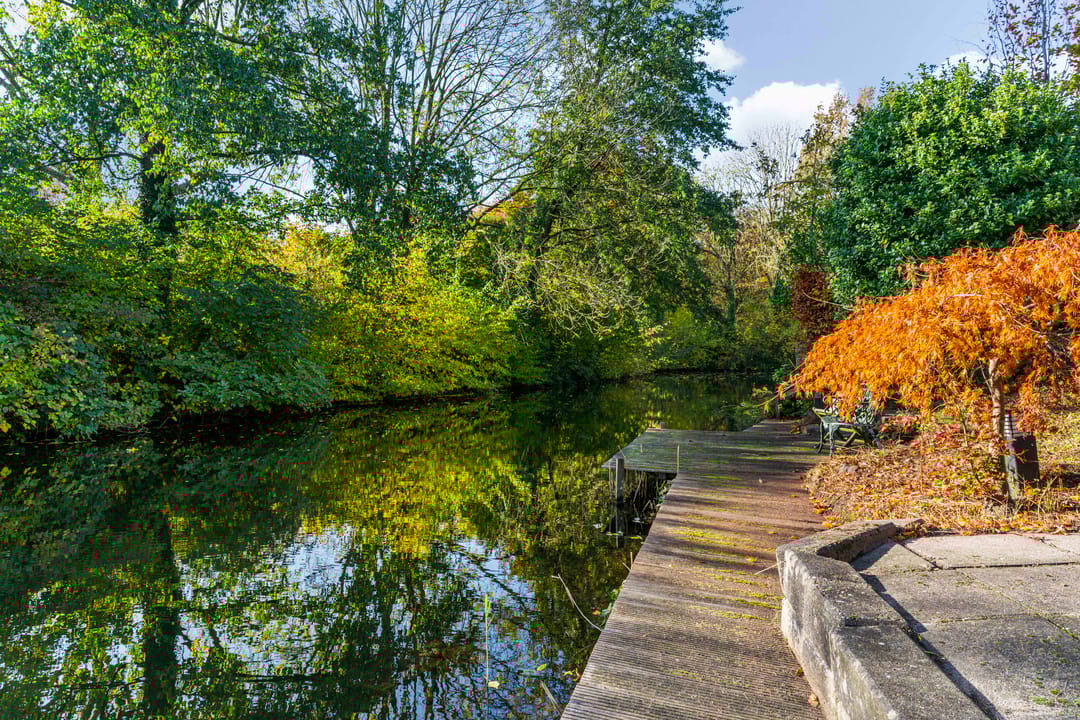 Foto 31 van Schemergaarde 1