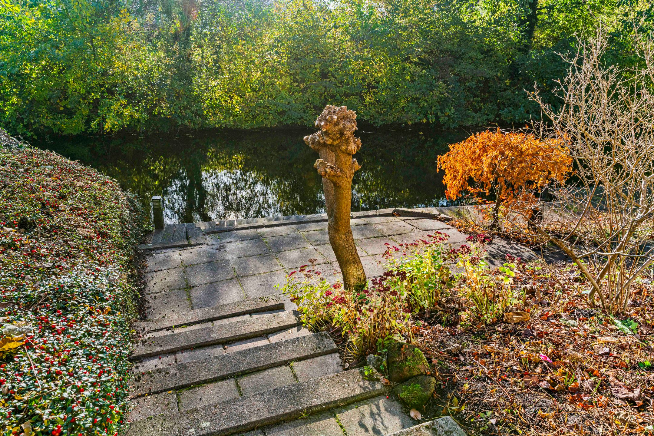 Foto 33 van Schemergaarde 1