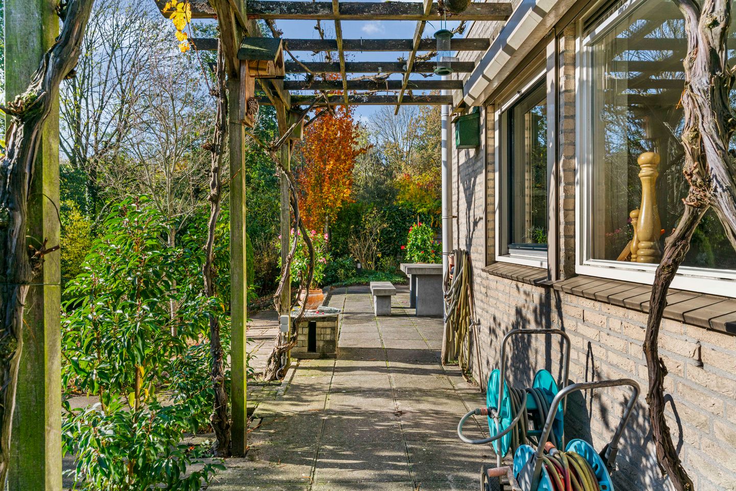 Foto 35 van Schemergaarde 1