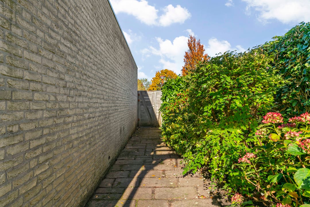 Foto 37 van Schemergaarde 1