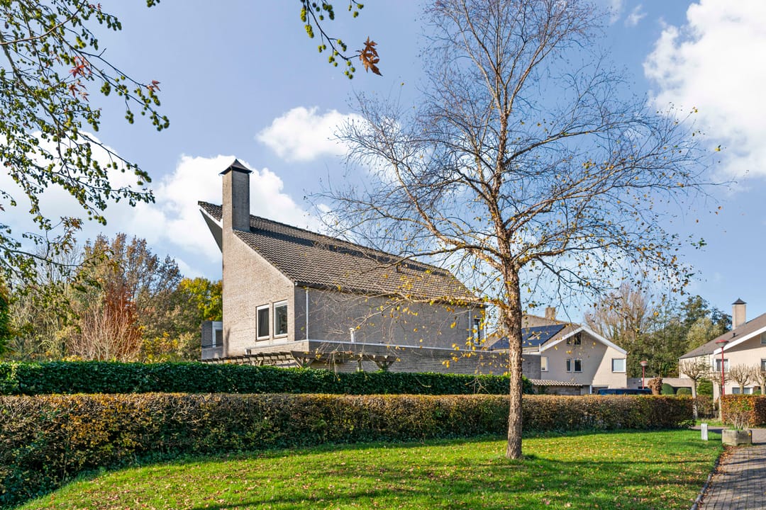 Foto 52 van Schemergaarde 1