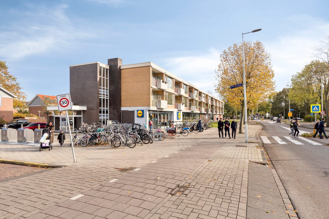 Foto 31 van Kamerlingh Onneslaan 50