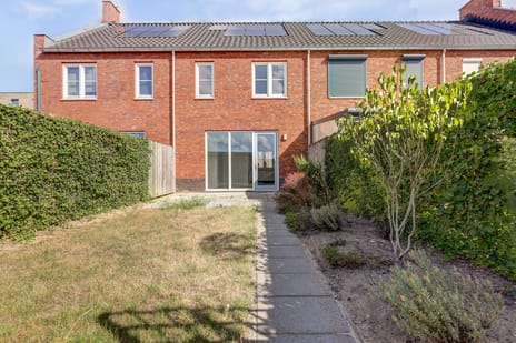 Silenus 37 secondary image