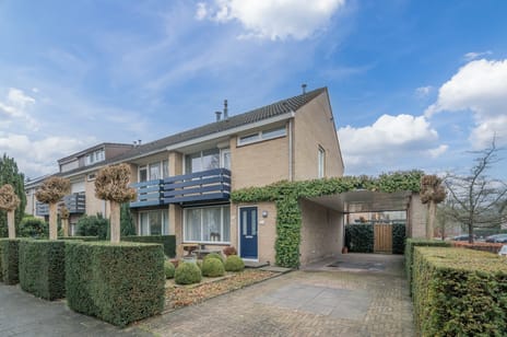 Jeneverbeslaan thumbnail