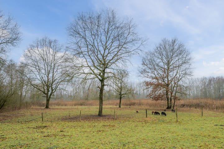 Foto 64 van Jeneverbeslaan 23