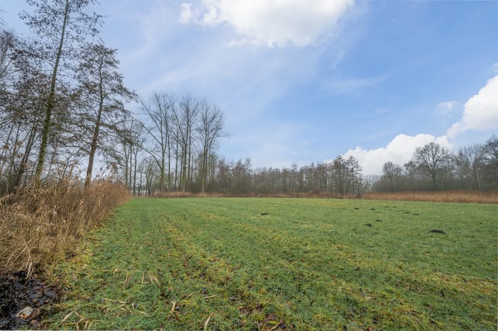 Foto 67 van Jeneverbeslaan 23