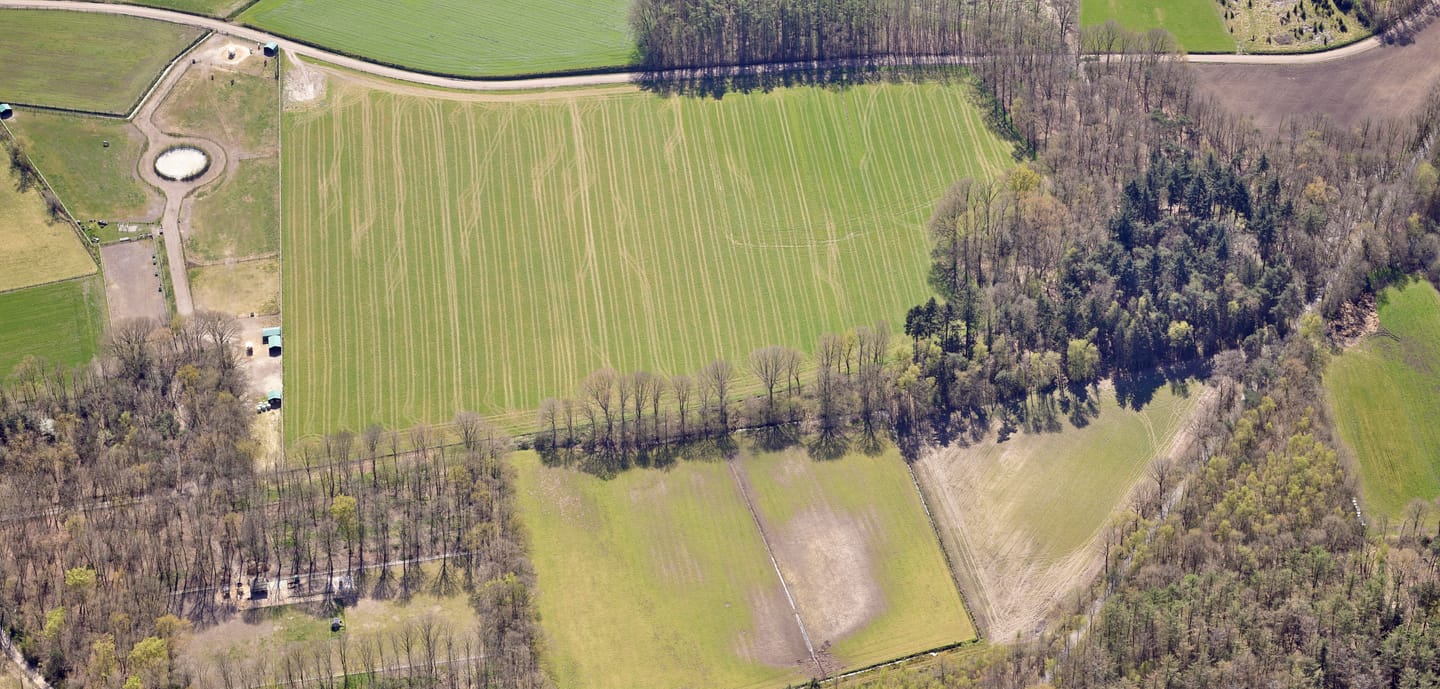 Bekijk foto 3 van Scheeperfstraat