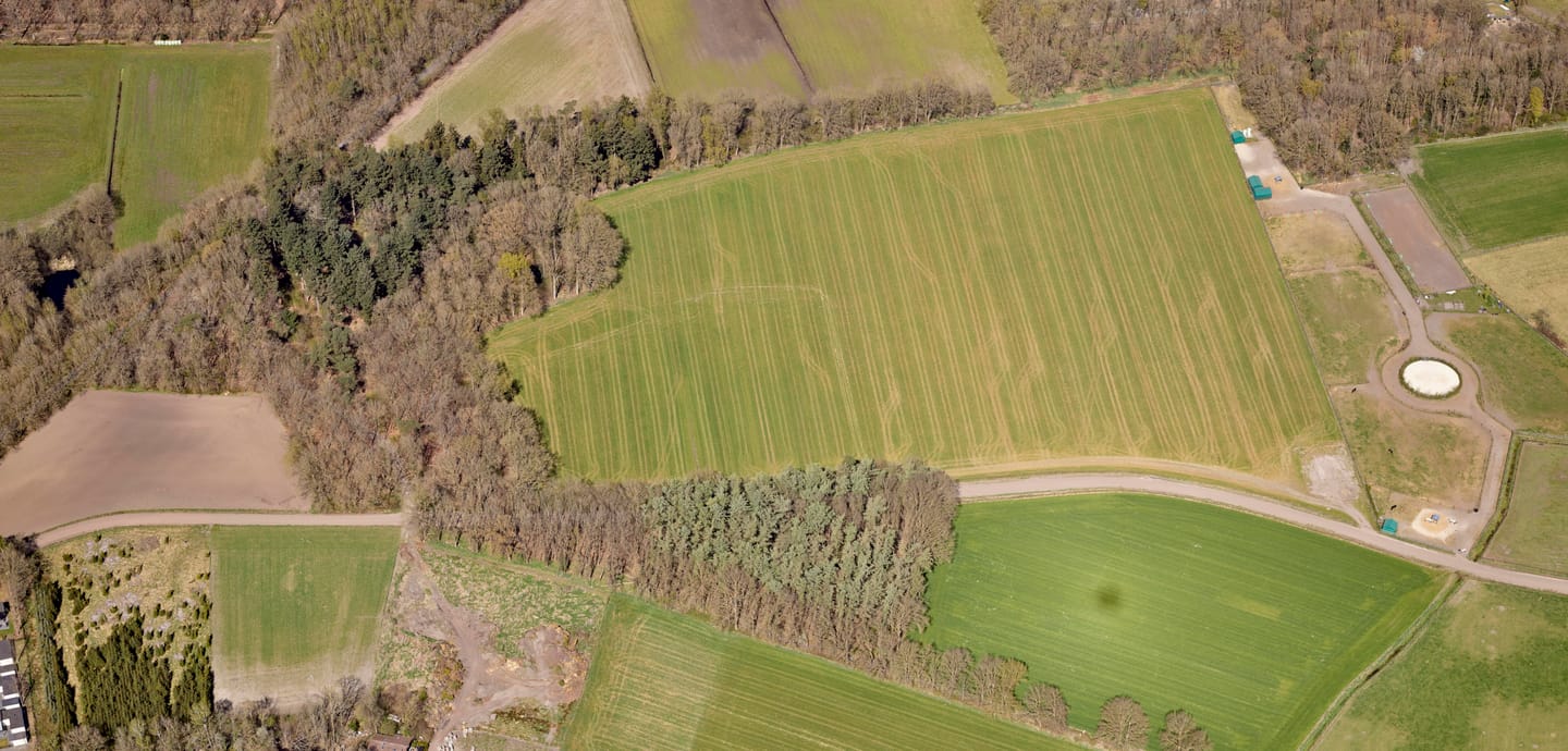 Bekijk foto 5 van Scheeperfstraat