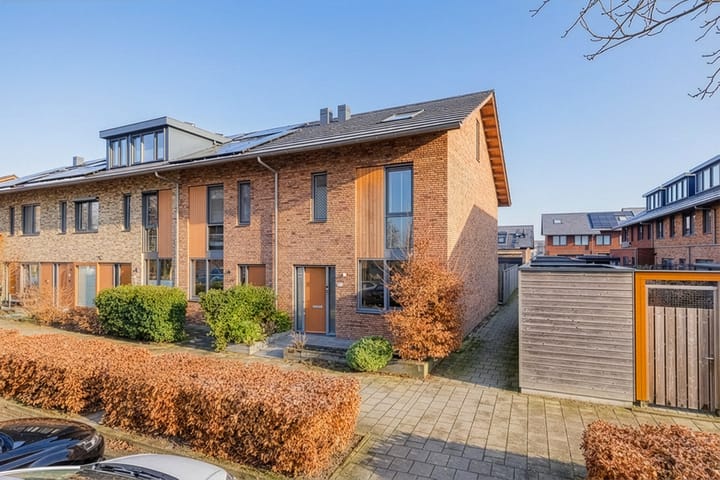 Foto 1 van Lisdodde 100