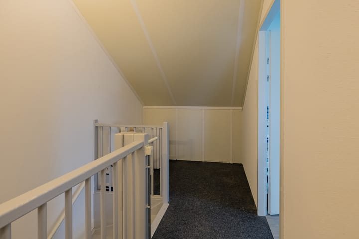 Foto 13 van Lisdodde 100