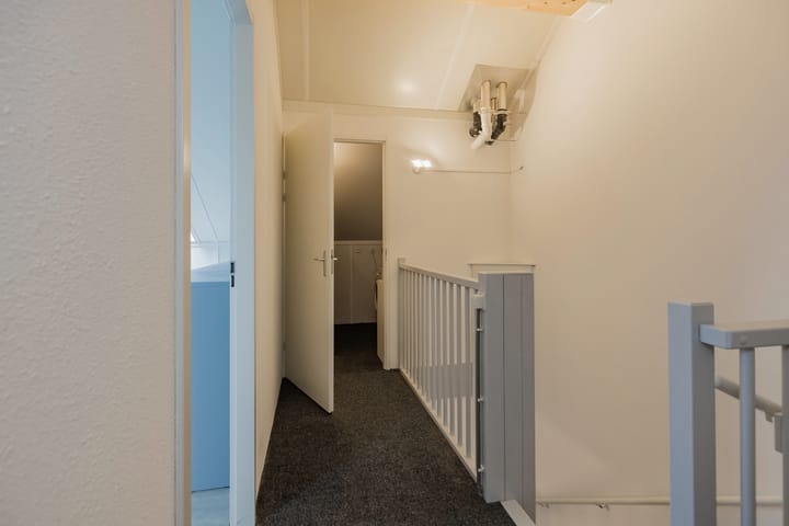 Foto 14 van Lisdodde 100