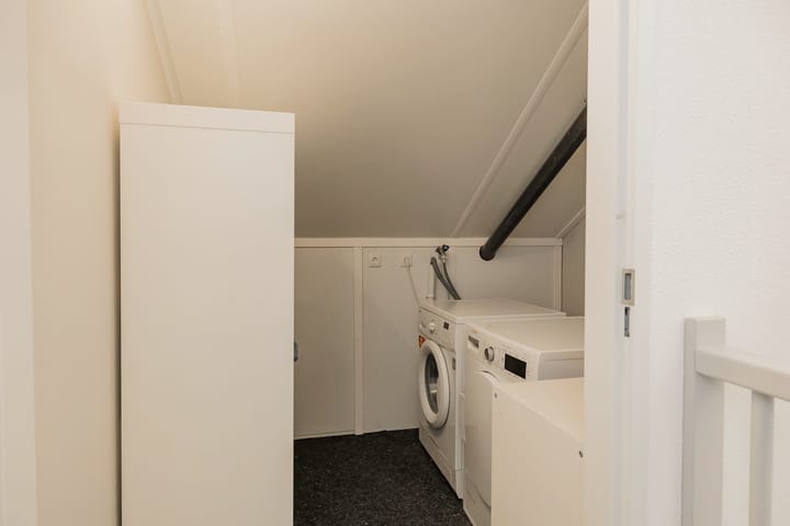 Foto 15 van Lisdodde 100