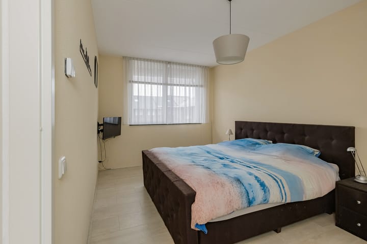 Foto 16 van Lisdodde 100