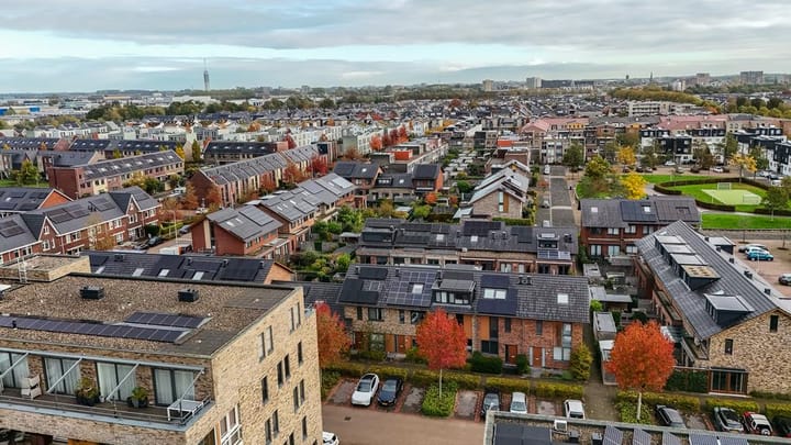 Foto 31 van Lisdodde 100