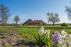 Afbeelding van Oranjekanaal N.Z. 49 - Tweede foto