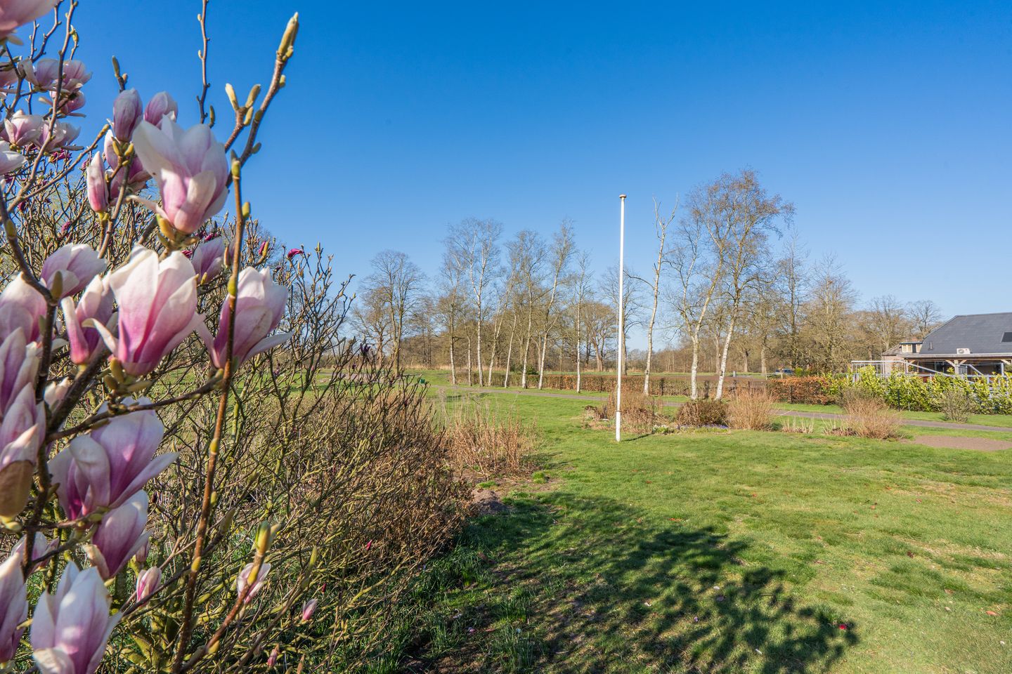 Foto 4 van Oranjekanaal N.Z. 49