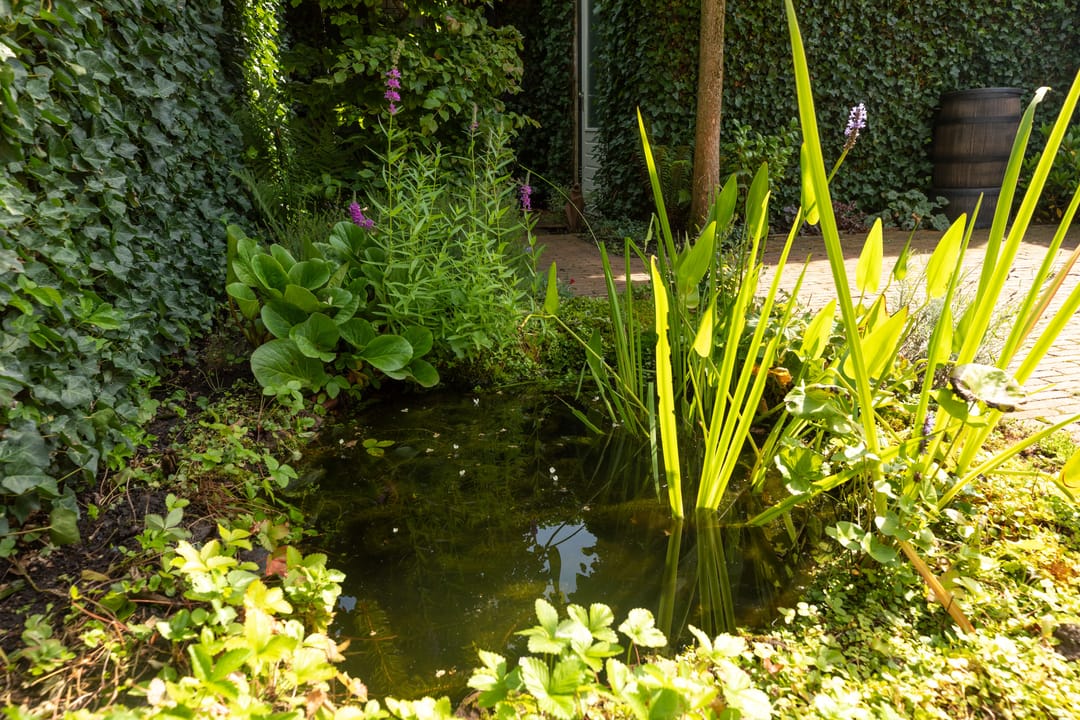 Foto 26 van Elzenlaan 26