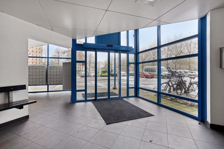 Foto 6 van Tjaarda 230