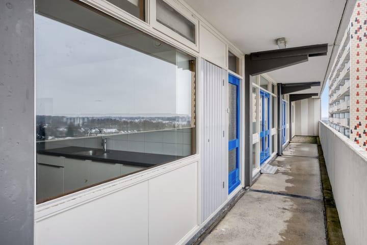 Foto 8 van Tjaarda 230