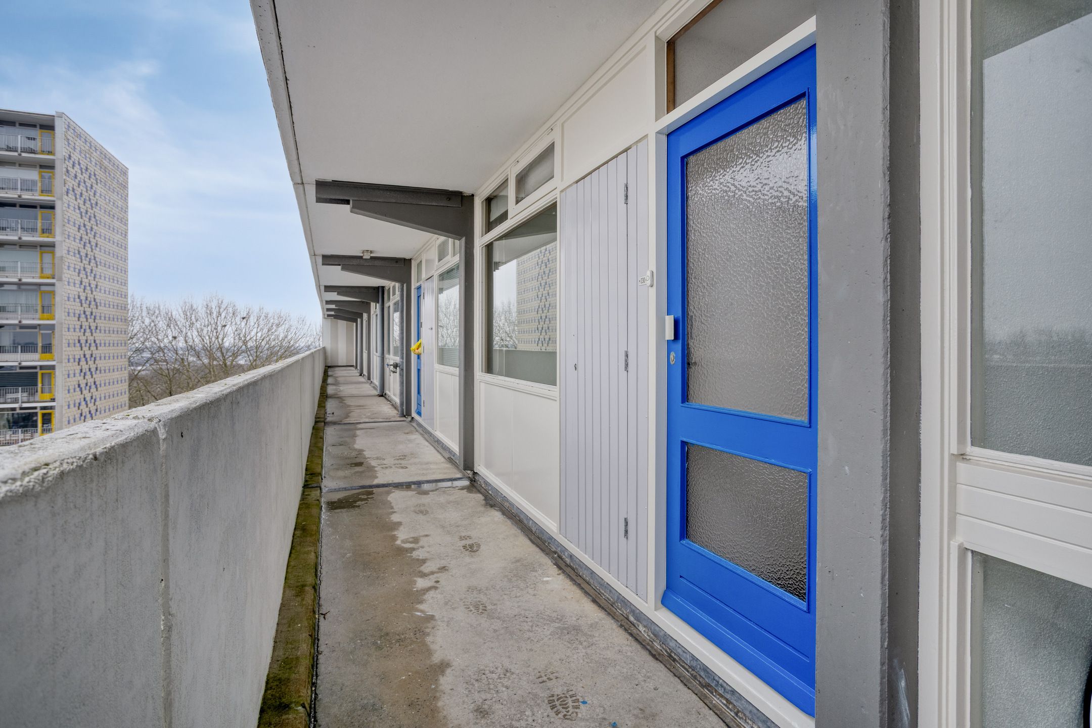 Foto 9 van Tjaarda 230