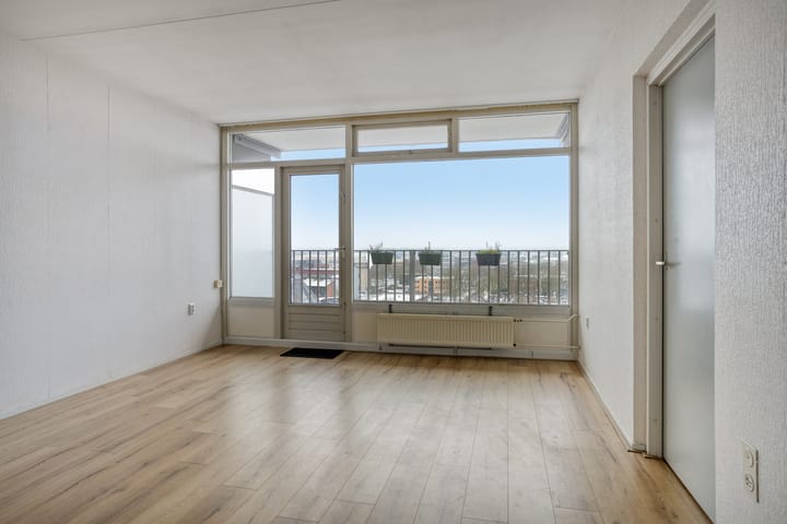 Foto 12 van Tjaarda 230