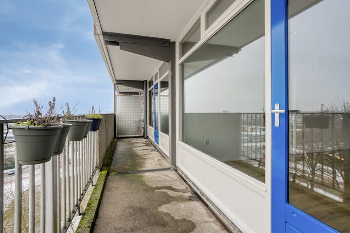 Foto 14 van Tjaarda 230