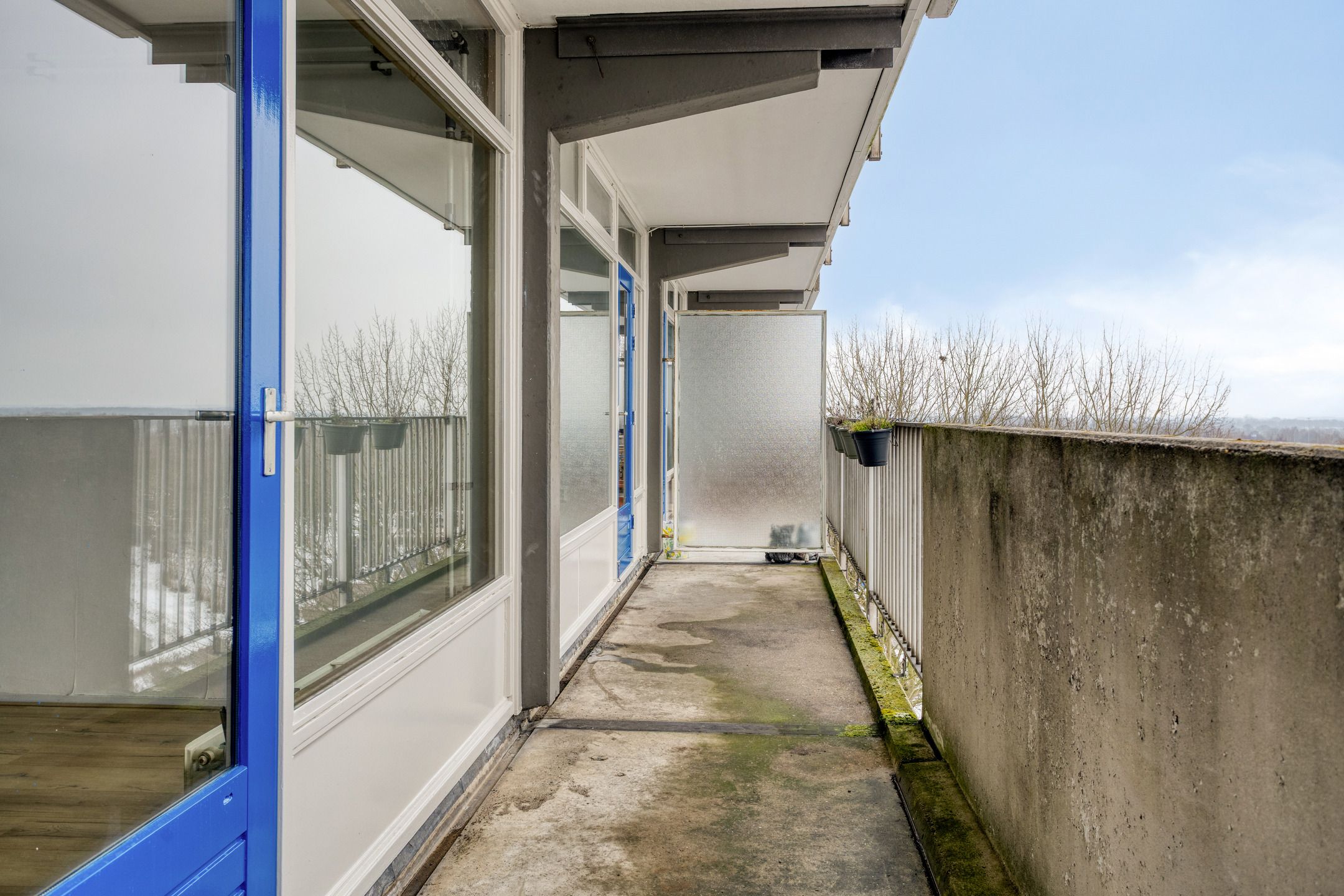 Foto 15 van Tjaarda 230