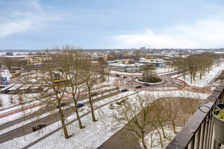 Foto 17 van Tjaarda 230