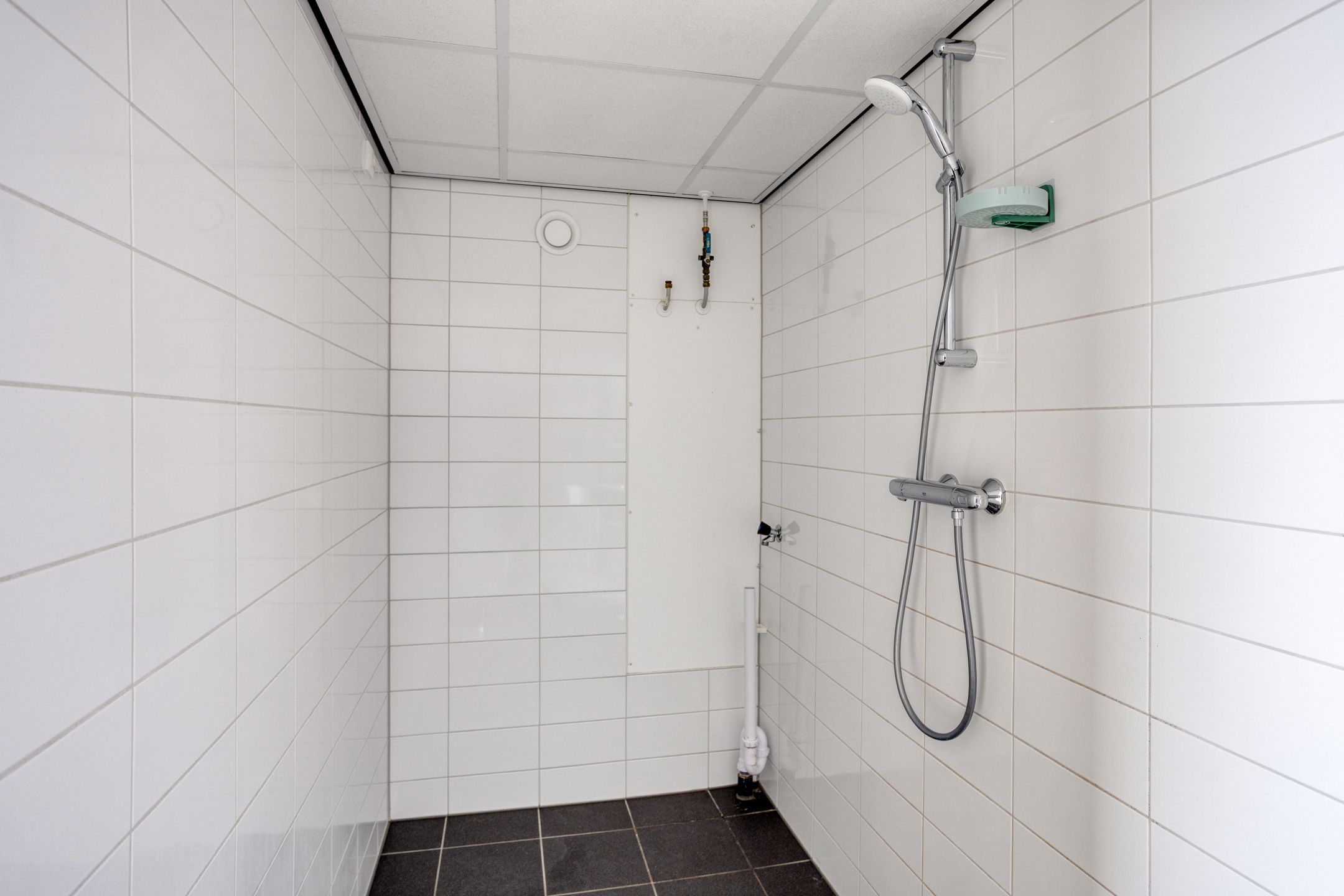 Foto 27 van Tjaarda 230