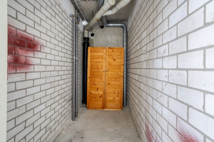 Foto 32 van Tjaarda 230