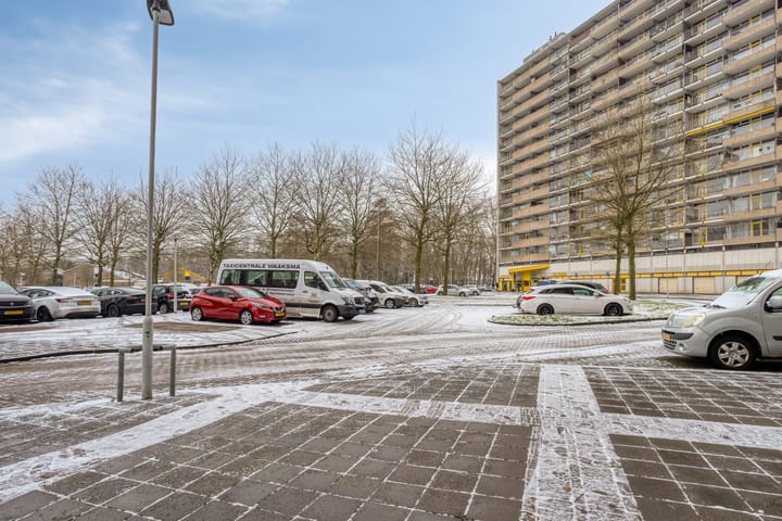 Foto 34 van Tjaarda 230