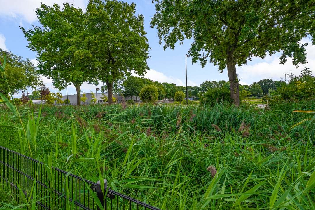 Foto 43 van Schootanker 17