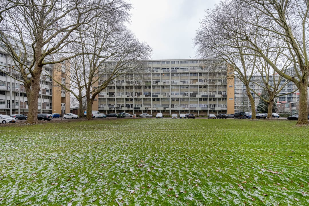 Foto 1 van Van Bosseplantsoen 108