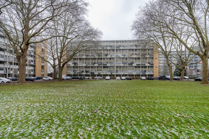 Foto 1 van Van Bosseplantsoen 108