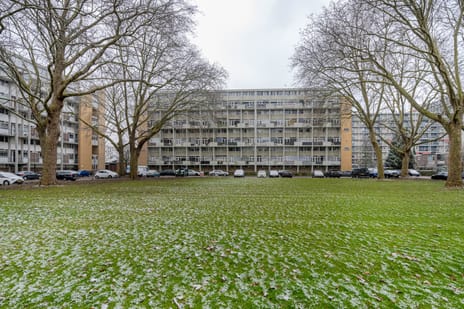 Van Bosseplantsoen thumbnail