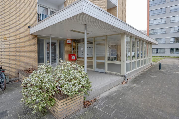 Foto 6 van Van Bosseplantsoen 108