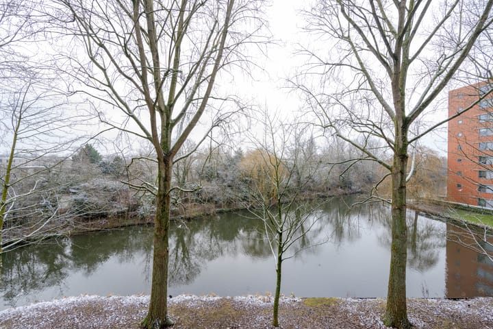 Foto 29 van Van Bosseplantsoen 108