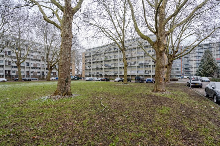 Foto 30 van Van Bosseplantsoen 108