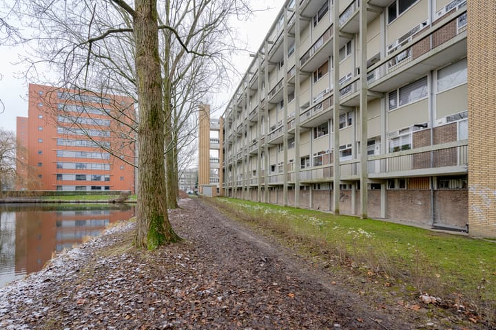 Foto 31 van Van Bosseplantsoen 108