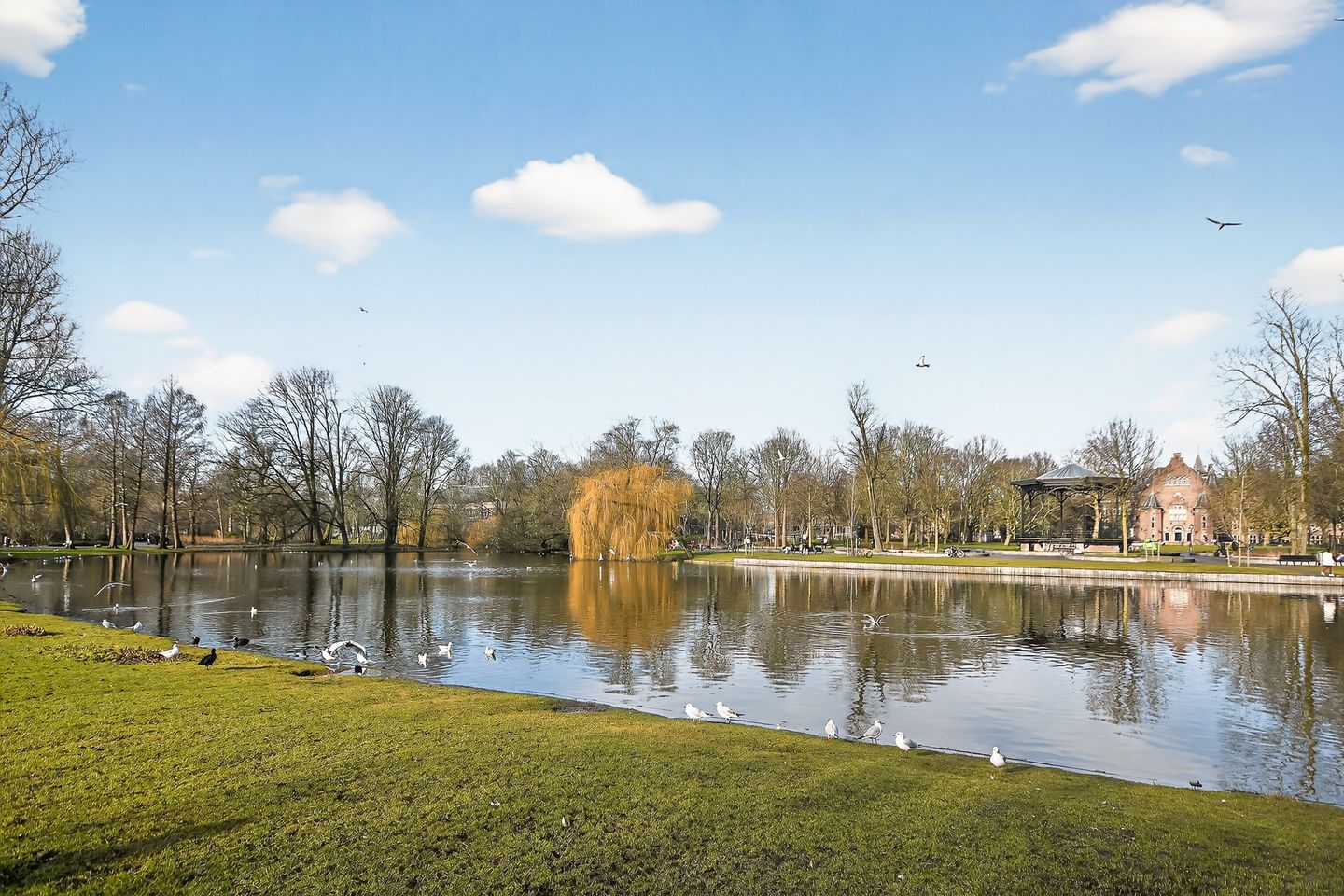 Foto 25 van Delistraat 38-G