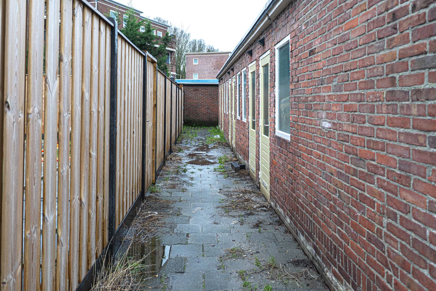 Photo 29 of Singel 131