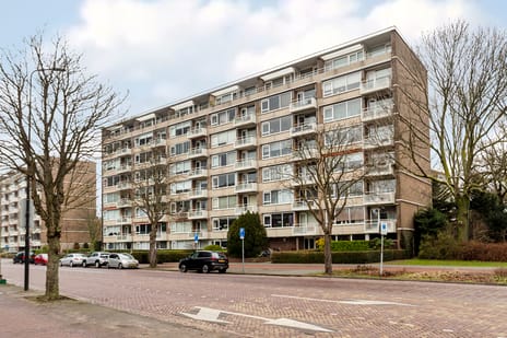 Steenvoordelaan thumbnail