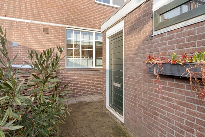 Photo 4 of Ganzepeppel 2