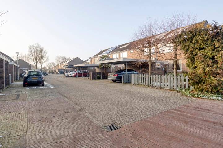 Photo 3 of Ganzepeppel 2