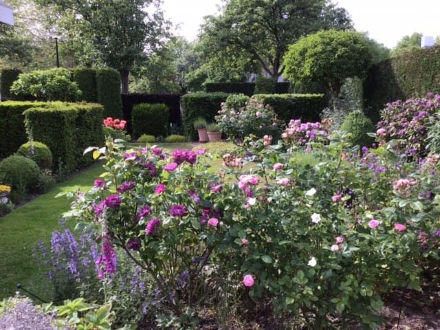 Foto 33 van De Blomhof 14