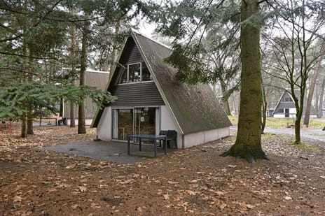 Patrijslaan thumbnail