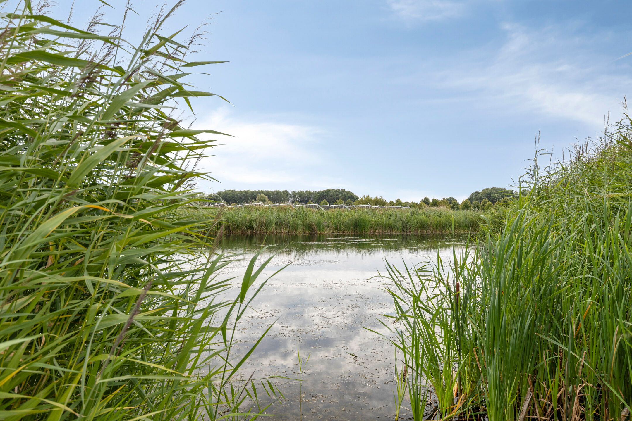 Photo 36 of Vooronder 76